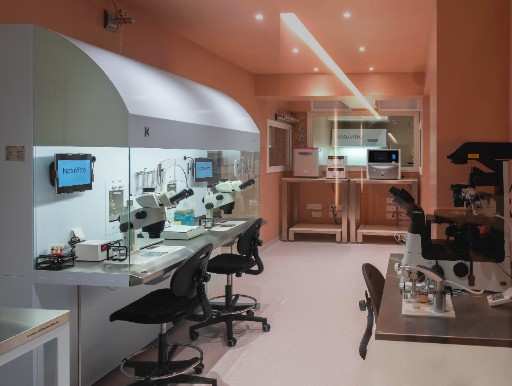 Primer laboratorio de España 100% libre de Compuestos Orgánicos Volátiles. Tus embriones más seguros y más saludables